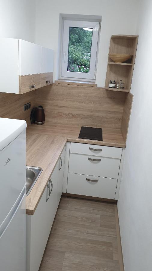 Ubytovani V Soukromi - U Hlinku Horní Maršov Extérieur photo