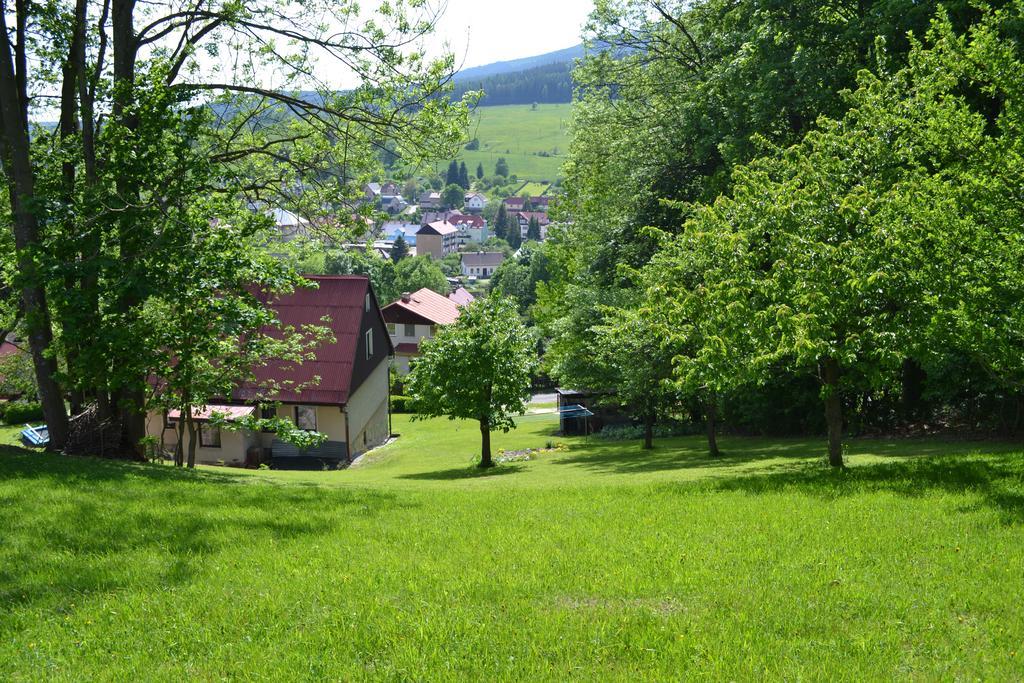 Ubytovani V Soukromi - U Hlinku Horní Maršov Extérieur photo